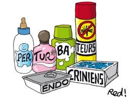 Image Comment réduire les perturbateurs endocrininens dans notre alimentation ? Quelques pistes ...